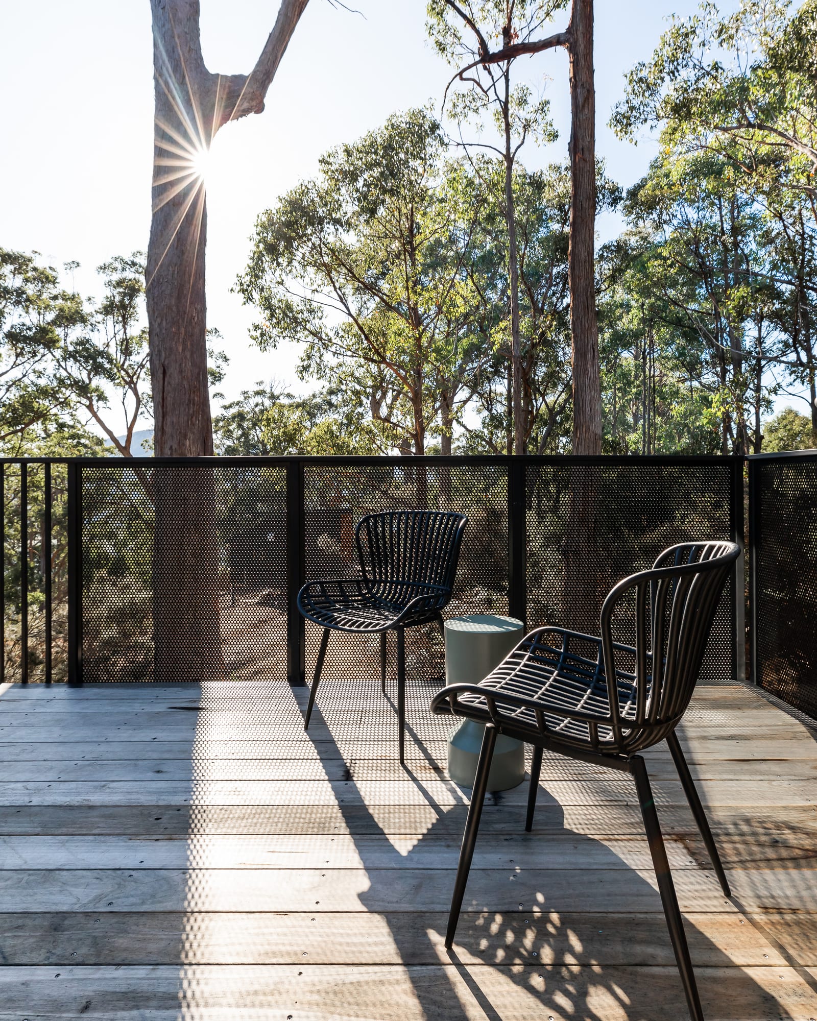 Two black wire chairs and a low ceramic side table on a timber deck, the sun flaring through a gum trunk above the mesh balustrade.