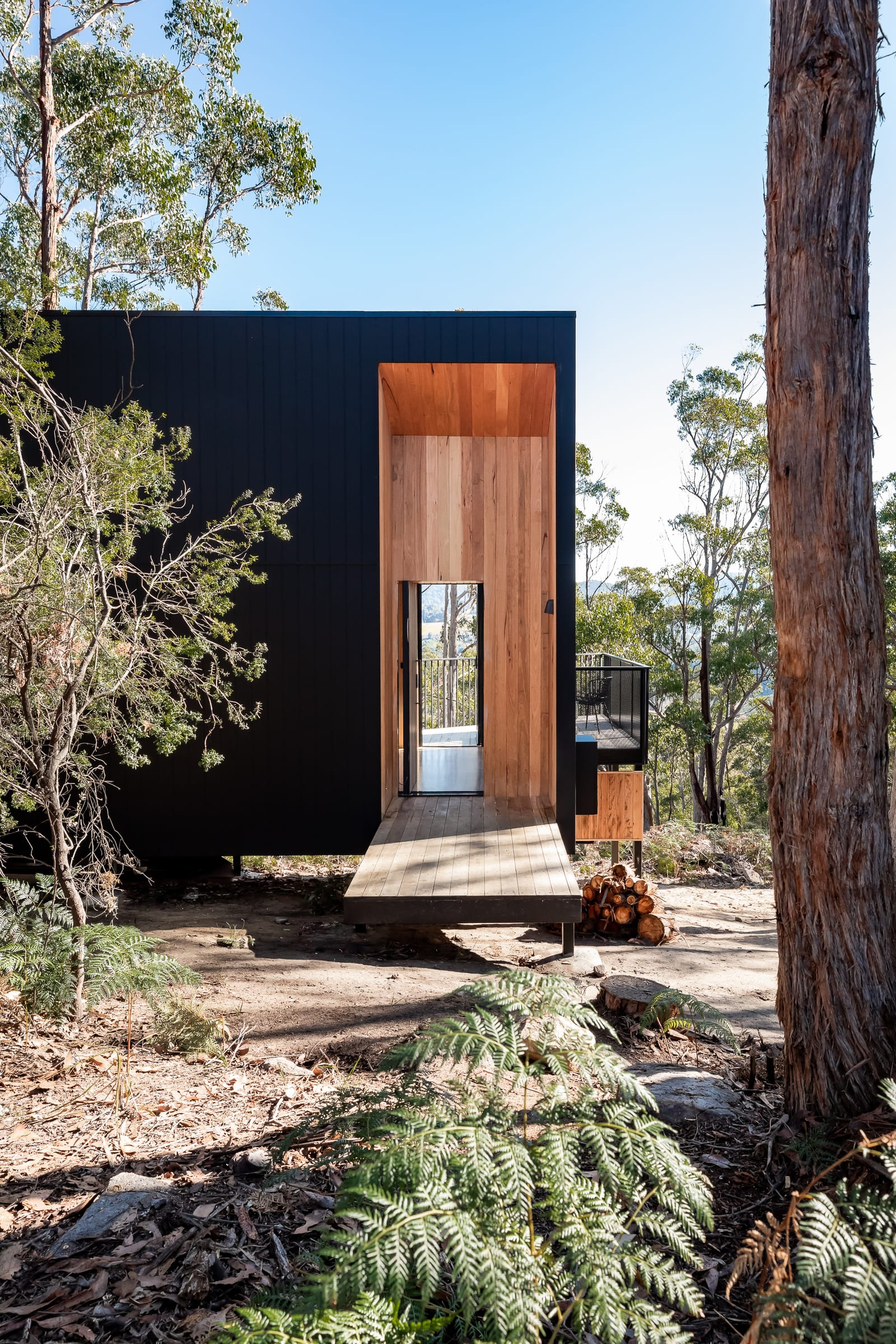 The black-clad cabin from the bush, a tall timber-lined entry recess cut into its side, a stack of split firewood beside it and tree ferns in the foreground.